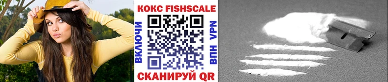 COCAIN Fish Scale Кукмор