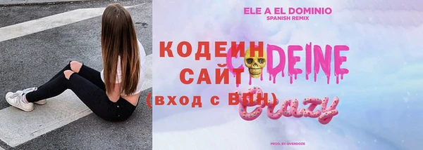стаф Краснослободск