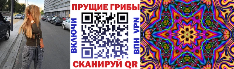Псилоцибиновые грибы Psilocybe Кукмор
